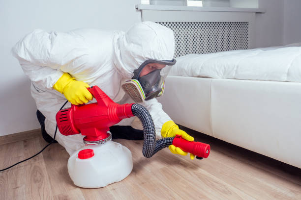 Best Spider Control Near Me  in Warner Robins, GA