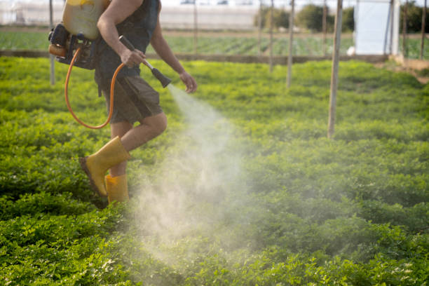 Best Insect Control  in Warner Robins, GA