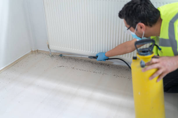 Pest Control Cost in Warner Robins, GA